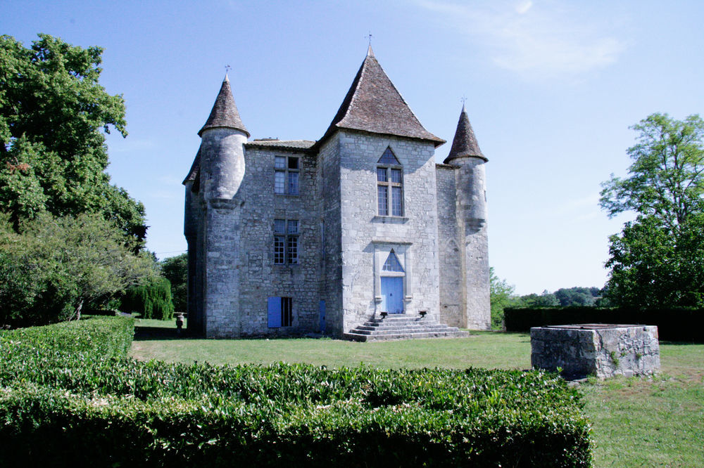 Gîtes du Château de Panisseau Thénac Exterior foto
